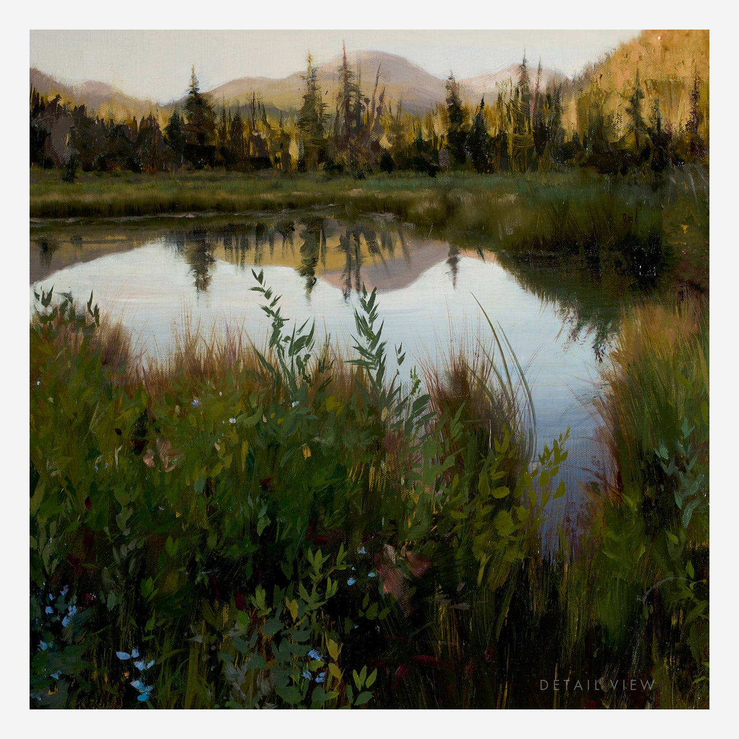 Morning Reflections